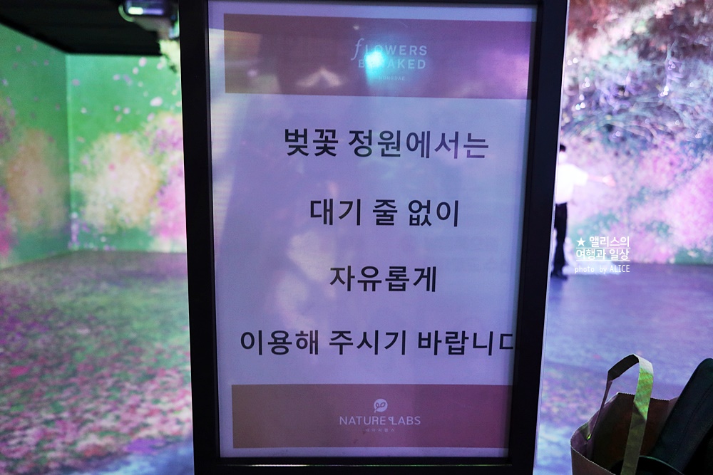 플라워바이네이키드 홍대 놀거리 입장료 23% 할인예매방법, 즐기는 꿀팁 네가지