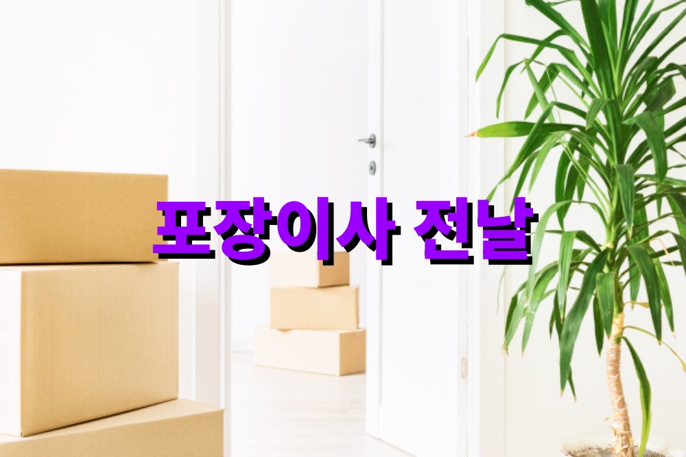 포장이사 전날 준비물 점검 리스트