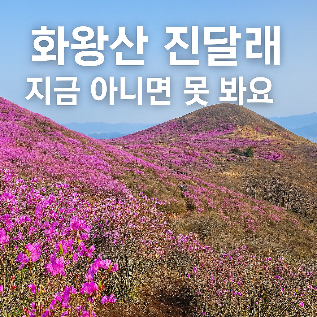 [4월 축제]화왕산 진달래❘4월 둘째주 주말 개화 상황, 방문 후기, 교통편, 맛집