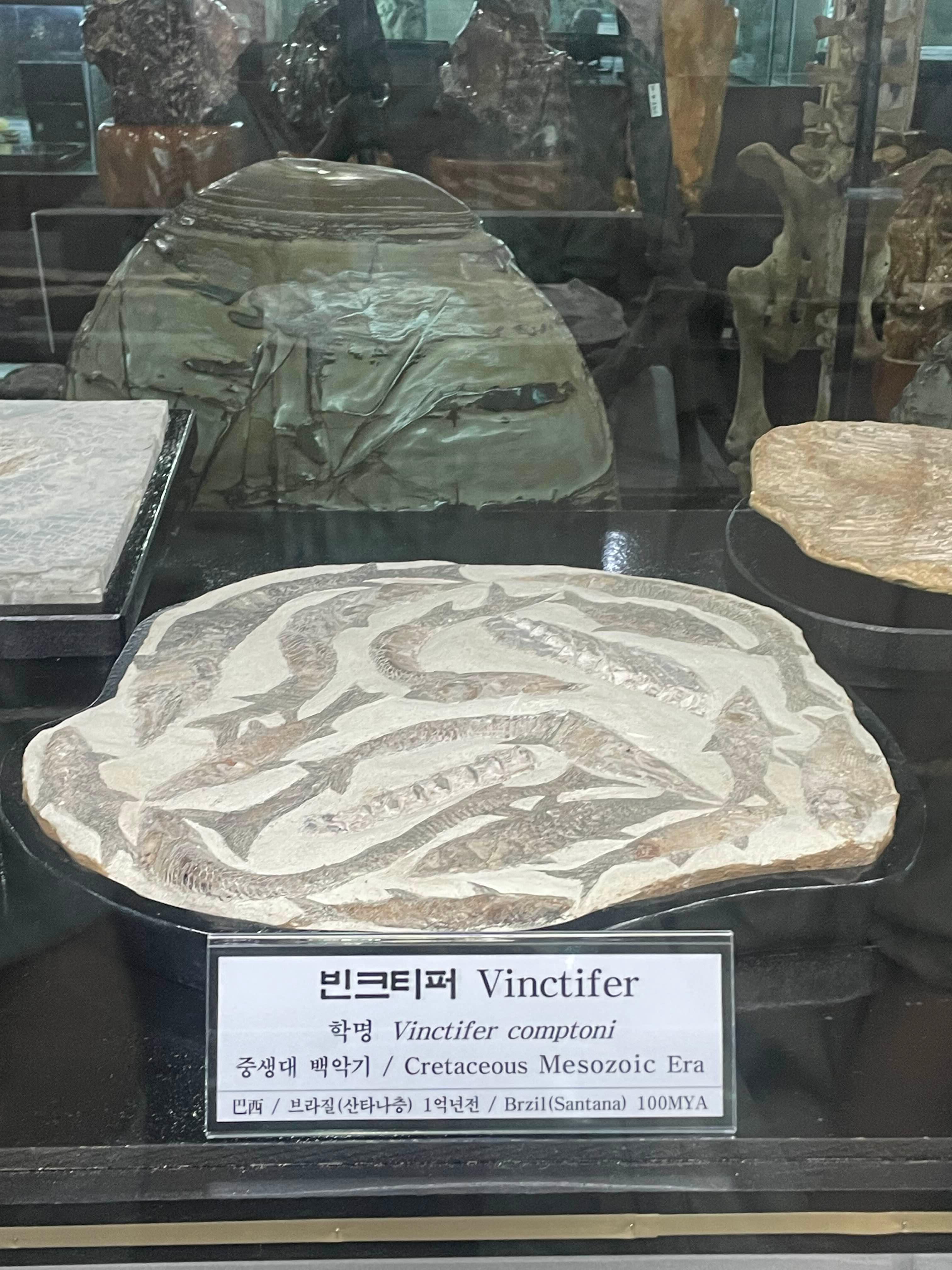 삼척 강원종합박물관