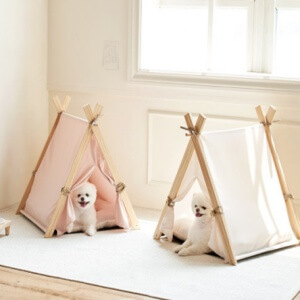 2023 반려인 능력시험