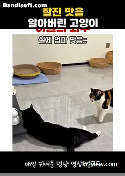 img.webp?credential=yqXZFxpELC7KVnFOS48ylbz2pIh7yKj8&expires=1767193199&allow_ip=&allow_referer=&signature=68dSt%2BtunSeUMe8s70DJ66BAV2s%3D