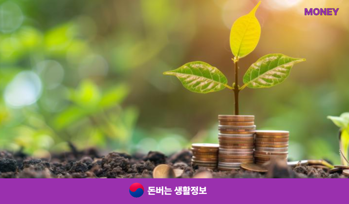 k패스 교통카드