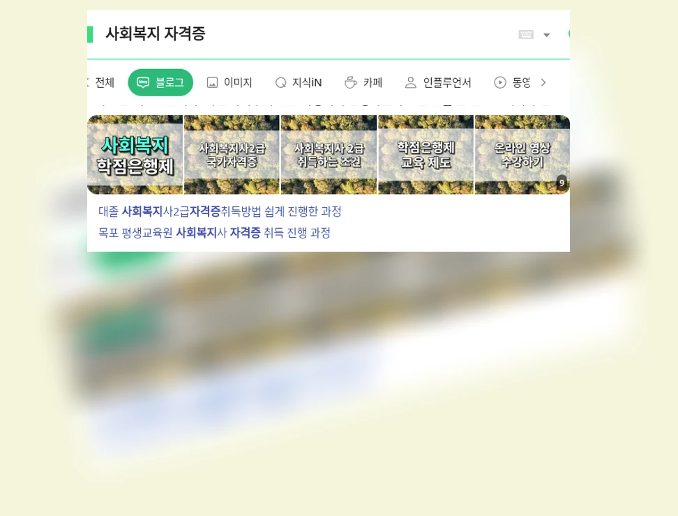 사회복지 자격증_1_subsection