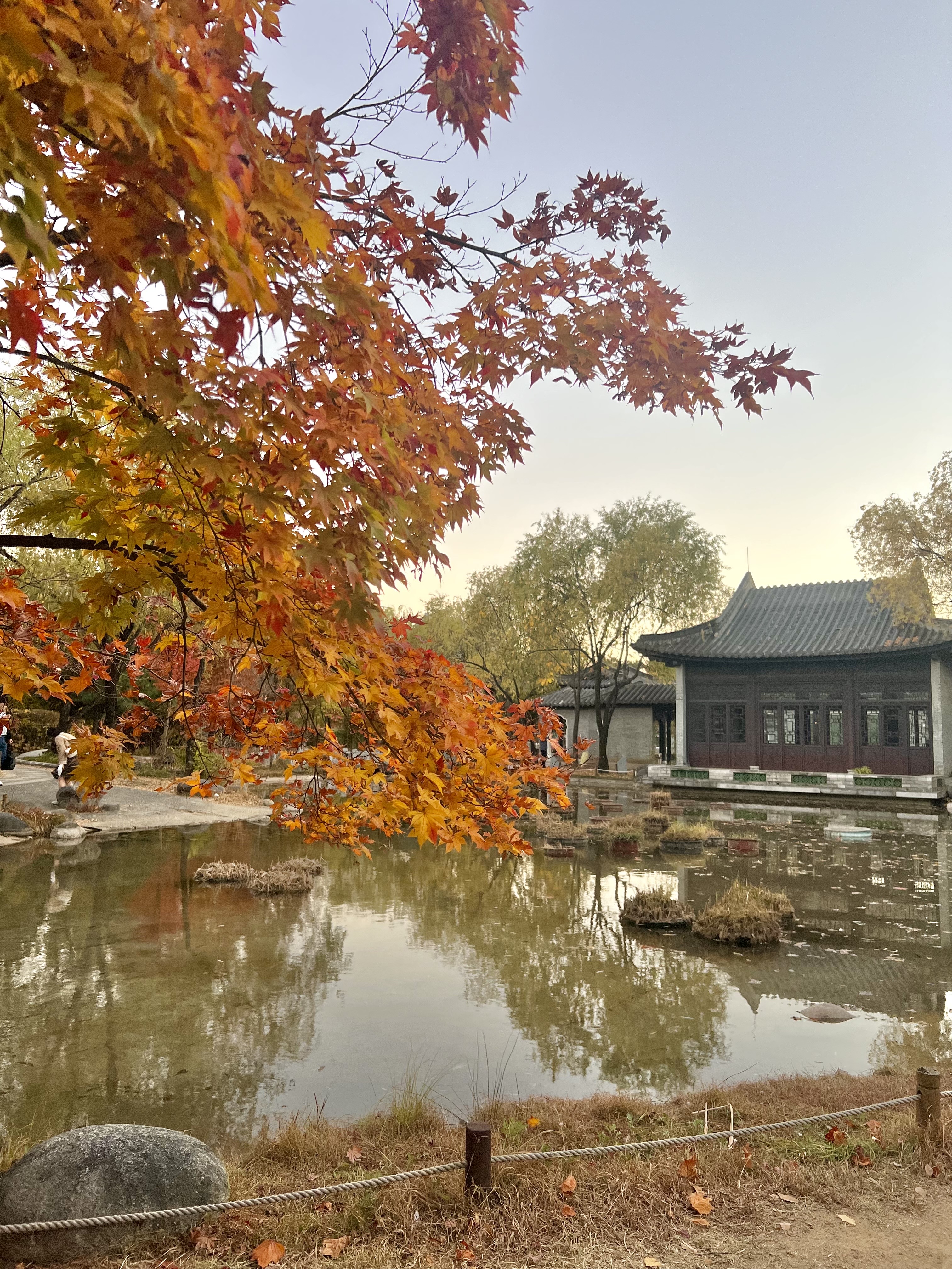 수원 데이트 장소 월화원