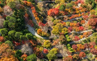 화담숲 입장료 할인 받는 법부터 예매 꿀팁까지는 총정리_6