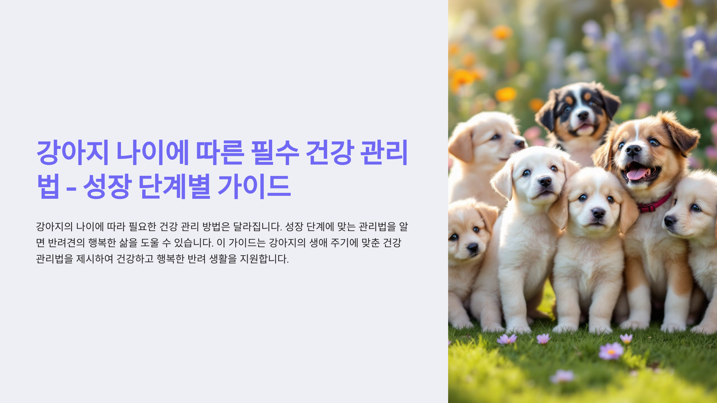 강아지 나이에 따른 필수 건강 관리법 - 성장 단계별 가이드