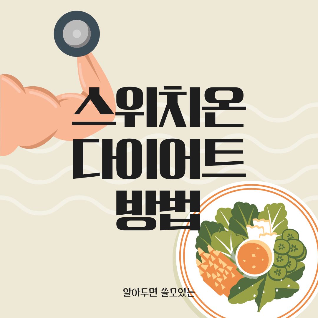 스위치온 다이어트 방법