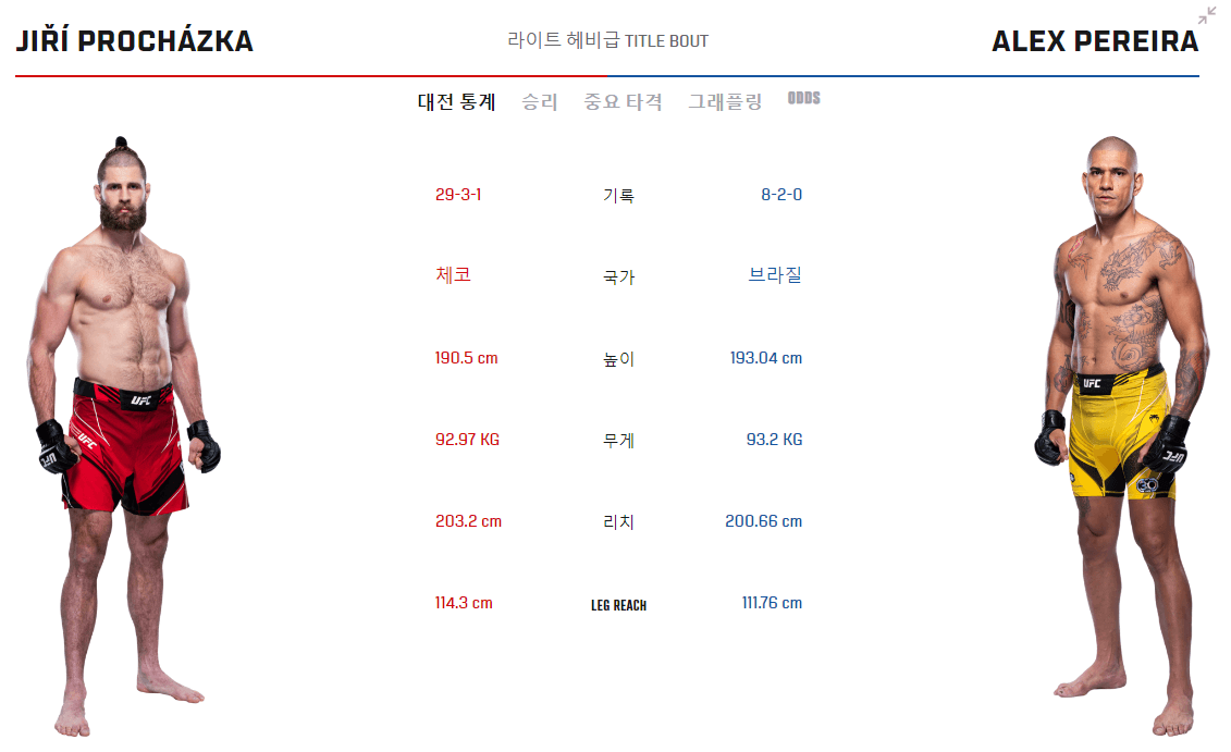 UFC 295 페레이라 프로하츠카
