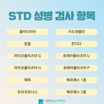 std 12종 검사 완벽 총정리종류 비용 등으로 검사항목_3