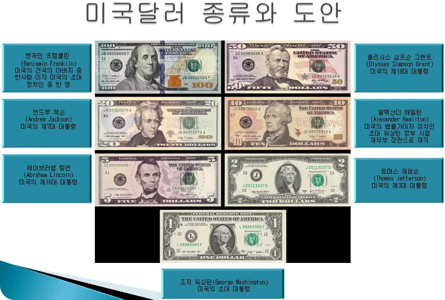 미국달러 화폐 견양