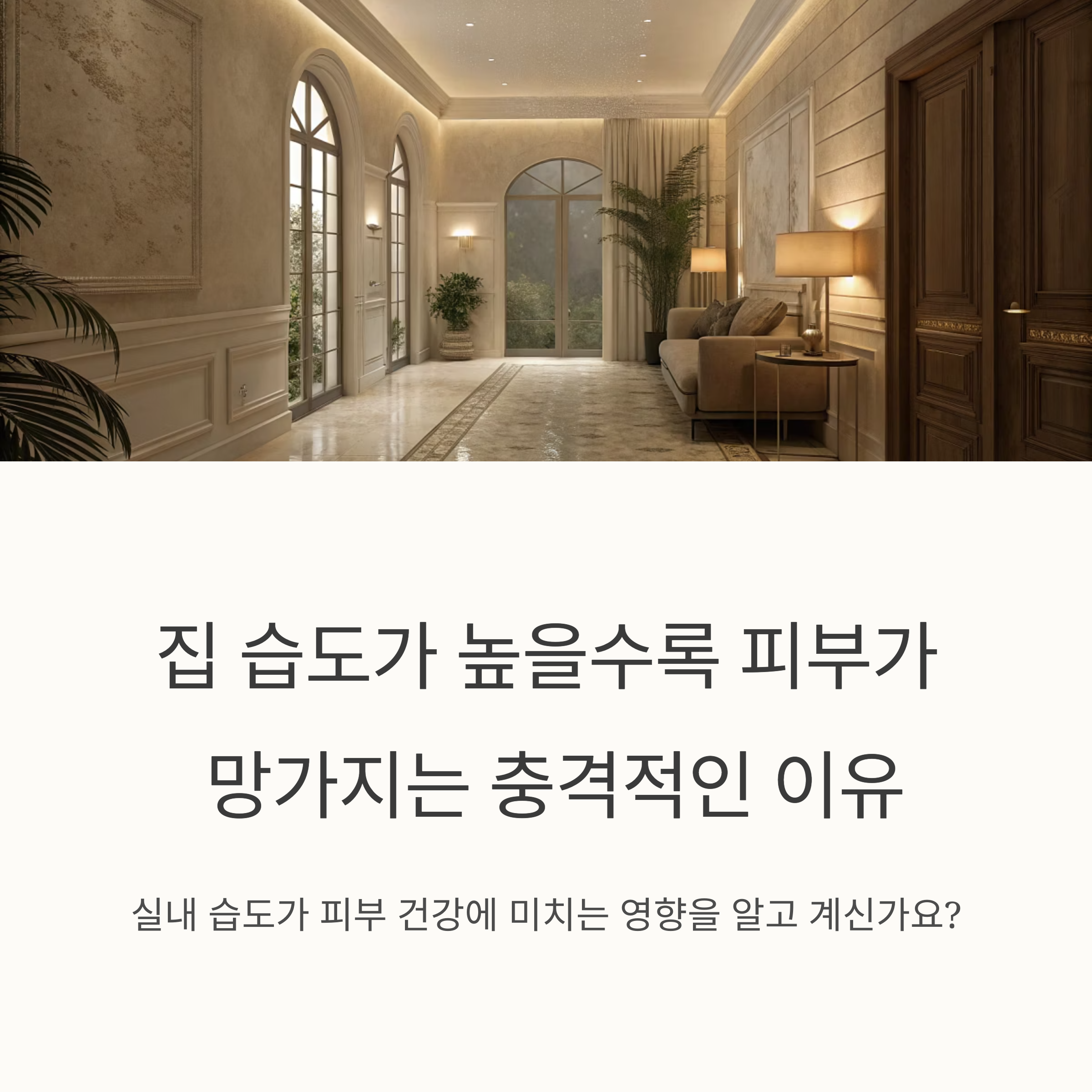 집 습도