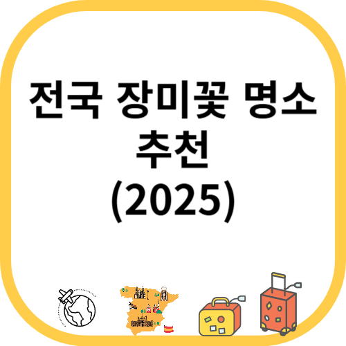 2025 전국 장미꽃 명소 추천
