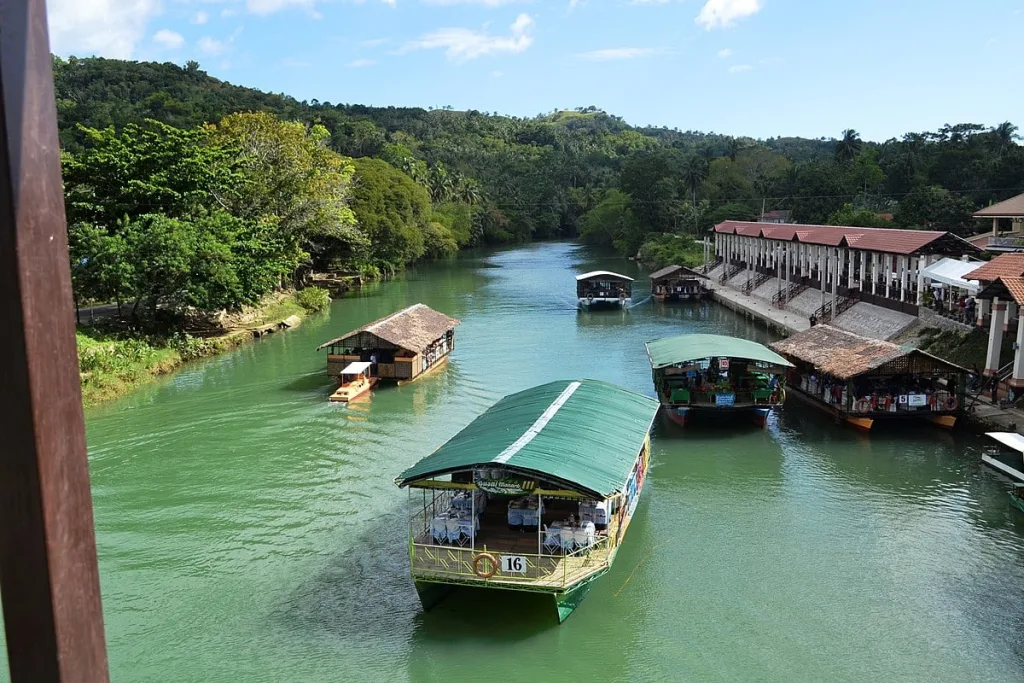 필리핀 보홀 자유여행 필수 투어 코스 : 액티비티 여행 코스