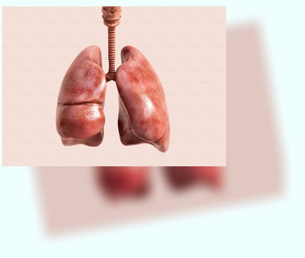 폐 건강 관리_3_subsection