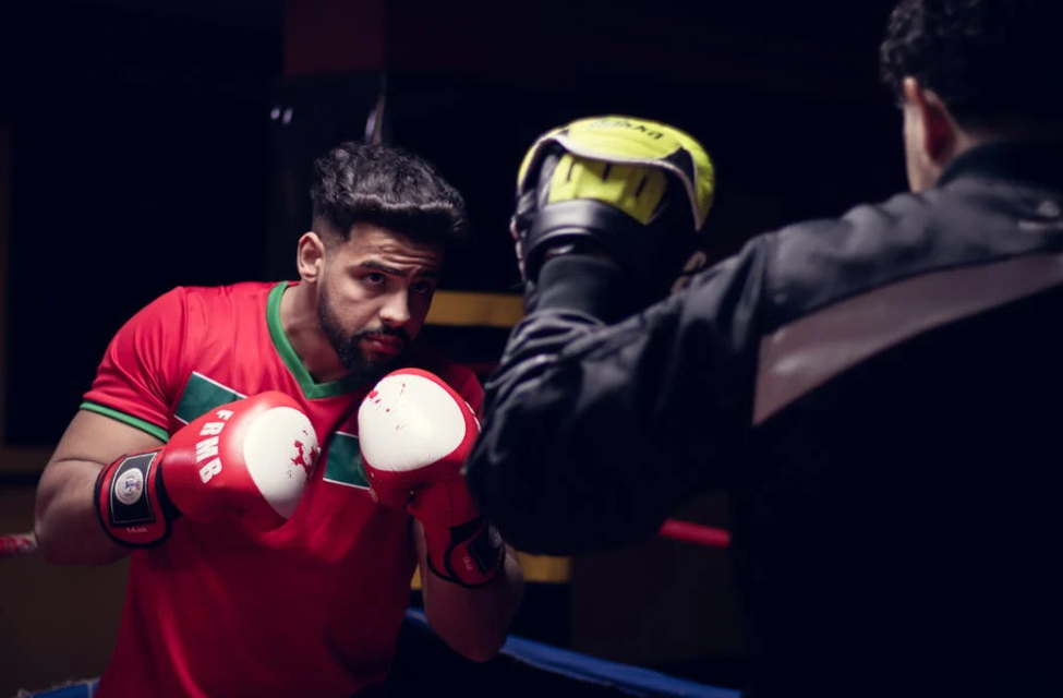 권투 관련 사진