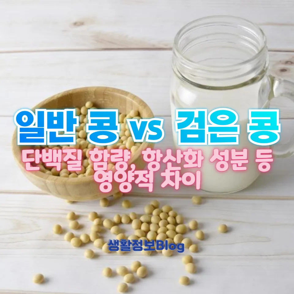 일반 콩 vs 검은 콩