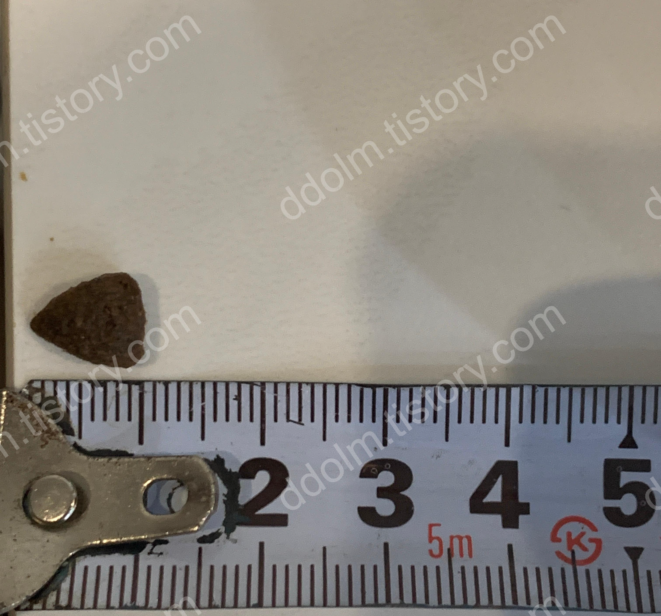 강아지 신부전 사료 비교