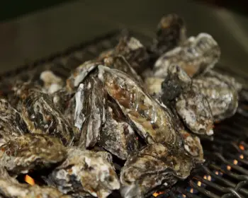 천북 굴 단지, 굴 축제_18