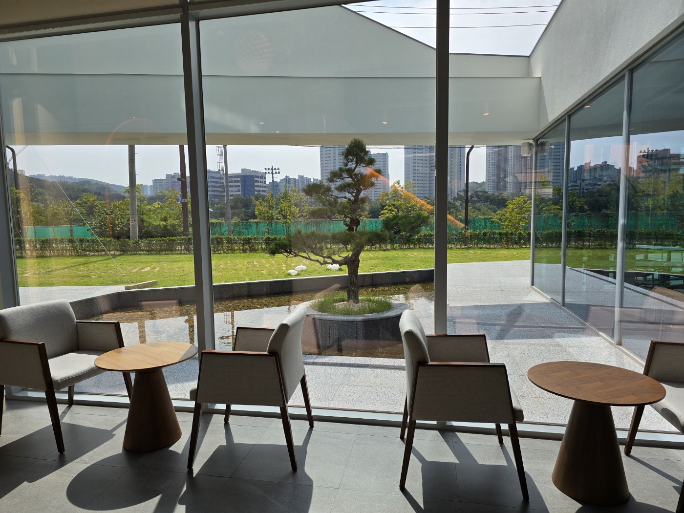 소나무가 예뻐요