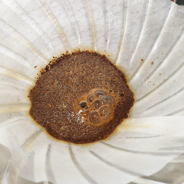 하리오 스위치를 이용한 아이스커피 레시피 feat. 테츠 카츠야_뜸 들이기