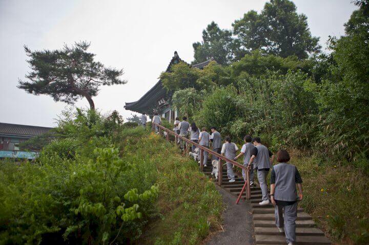 미륵사 계단을 오르는 사람들