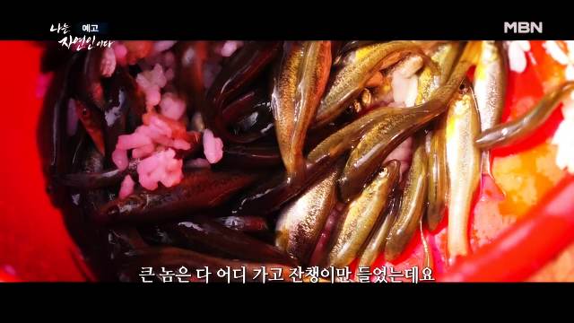 나는 자연인이다 당뇨합병증 심정지 건강 되찾은 후 산양삼 냉이 흙밟으며 맨발걷기 계곡물 자연인 원영철 소개 및 이승윤 출연 600회 다시보기