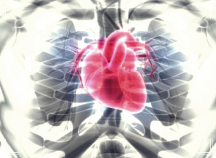 # 동성서맥(Sinus Bradycardia) 원인과 치료