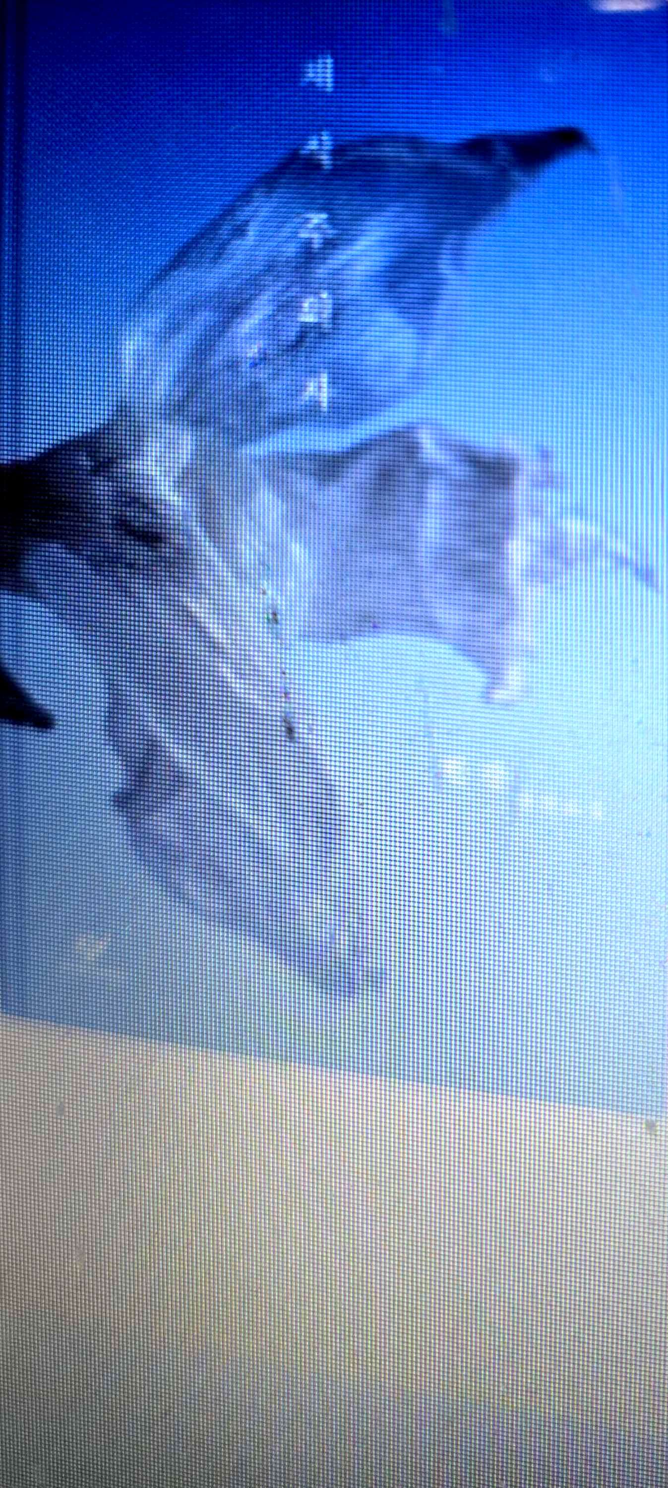 채식주의자 도서