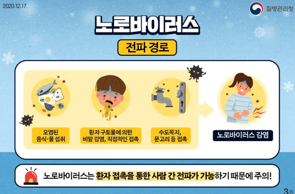 노로바이러스와 장염 비교