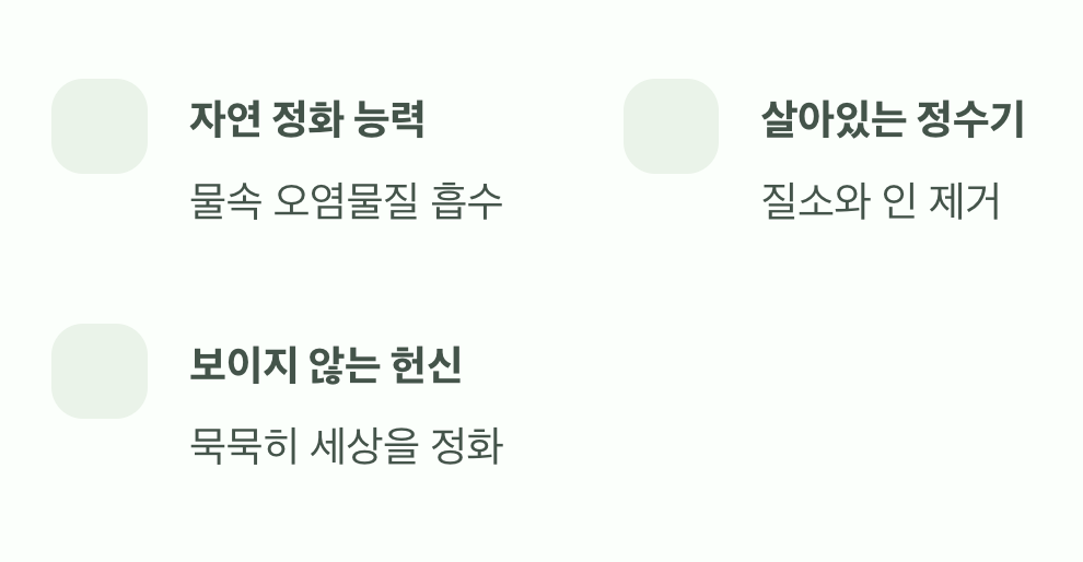 조용한 정화, 보이지 않는 헌신