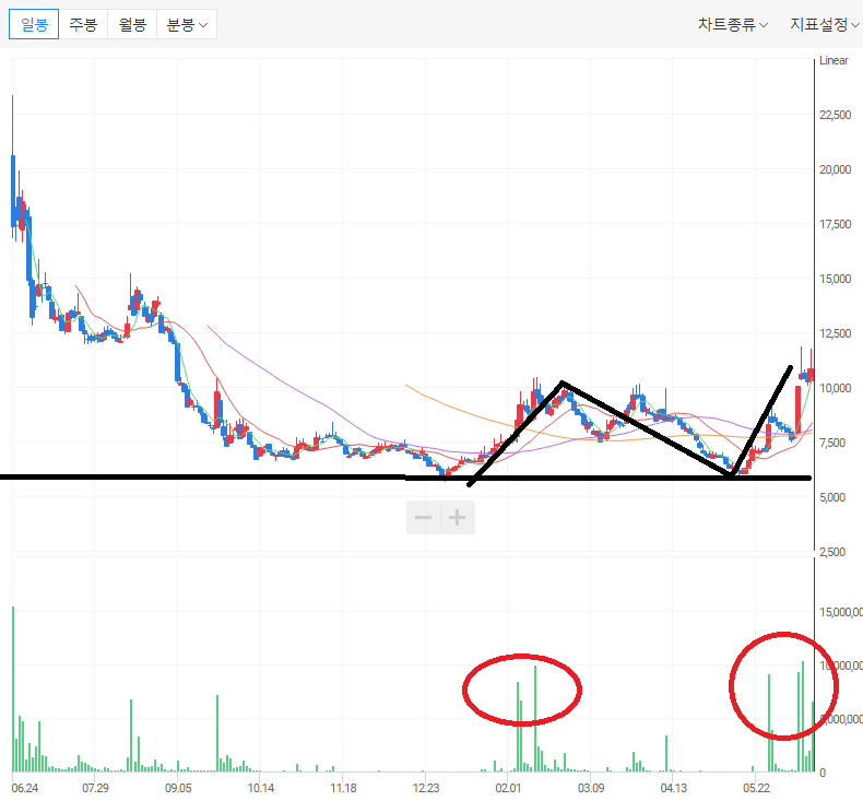 레이저쎌 일봉 차트