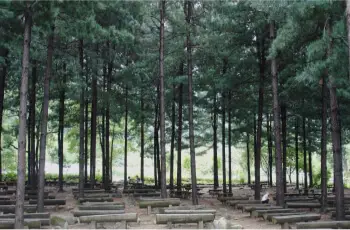 유명산 자연휴양림_6