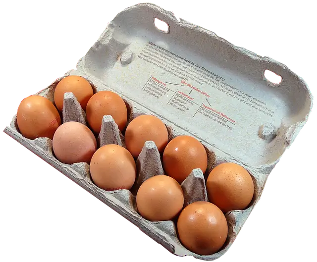 구운계란 만드는 방법 황금 레시피