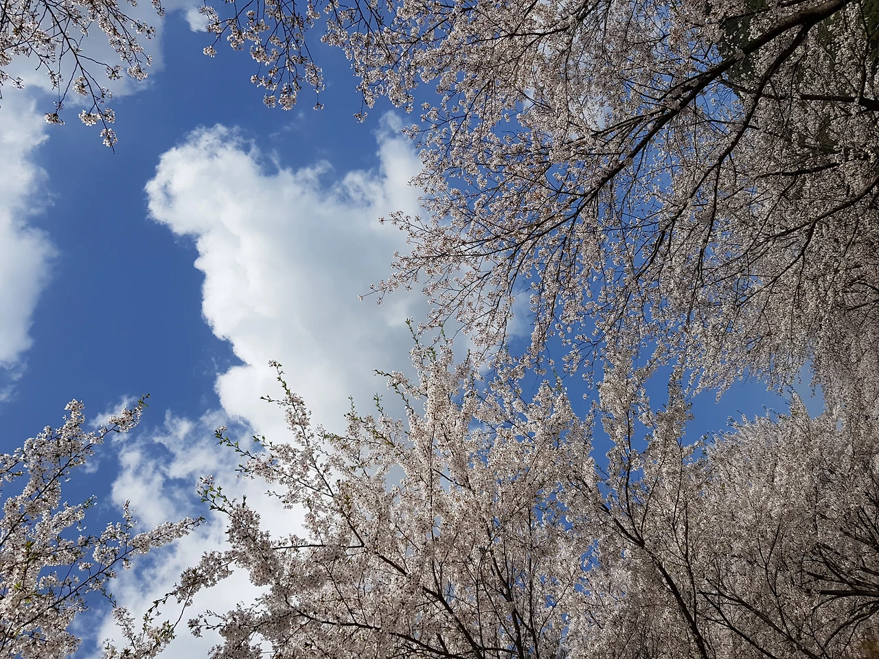 부안 변산해수욕장 오픈바&middot;JAZZ 버스킹&middot;비치 시네마 가이드