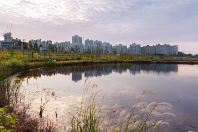 화성시, 인구 100만 돌파로 특례시 출범: 지역 발전의 새 장