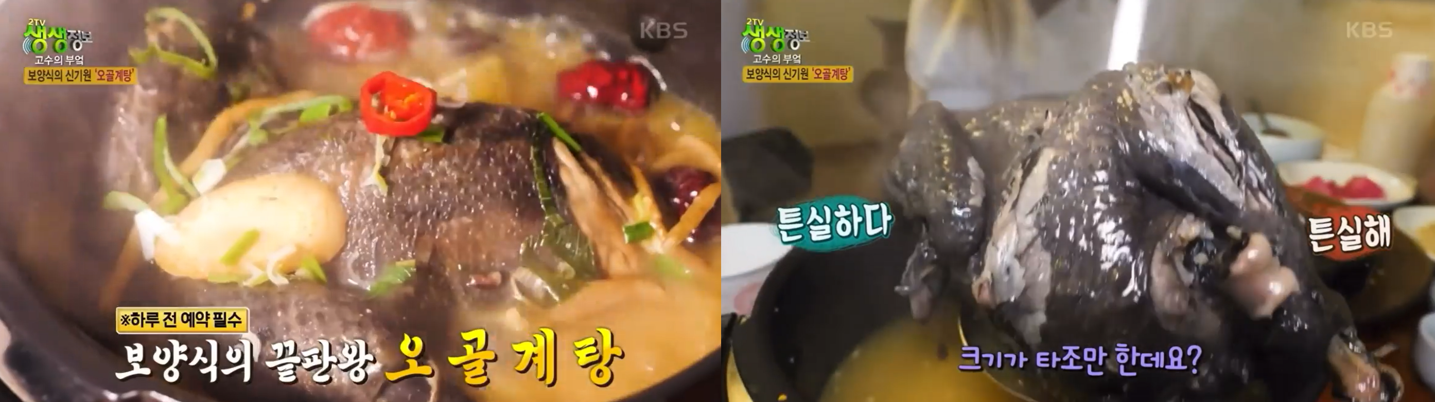 마산 대가 삼계탕