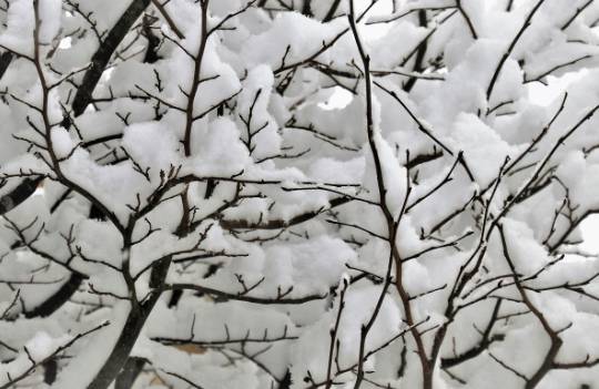 에너지바우처 신청자격&amp;#44; 신청기간&amp;#44; 지원금액 총정리
