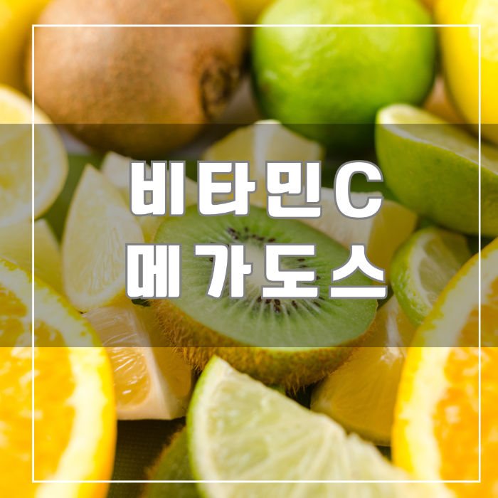 비타민C 메가도스