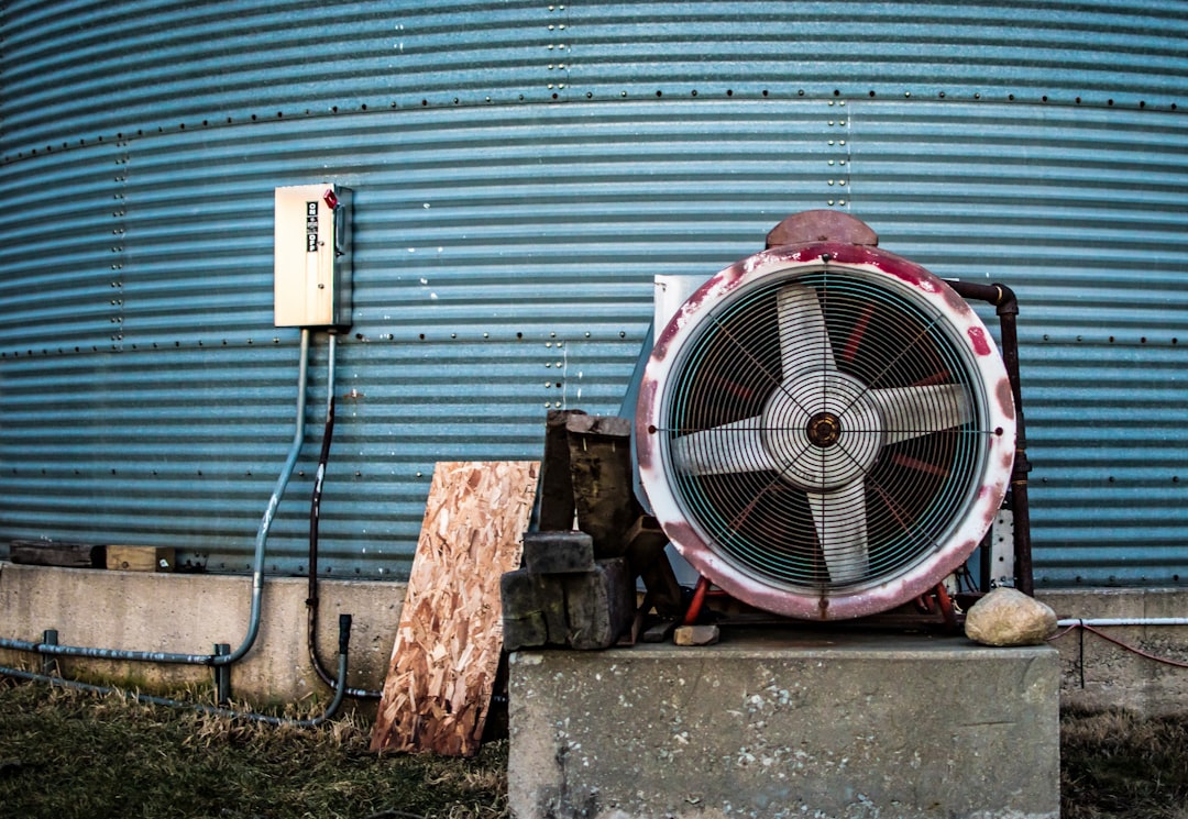 Fan