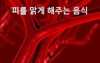 피를 맑게 해주는 음식