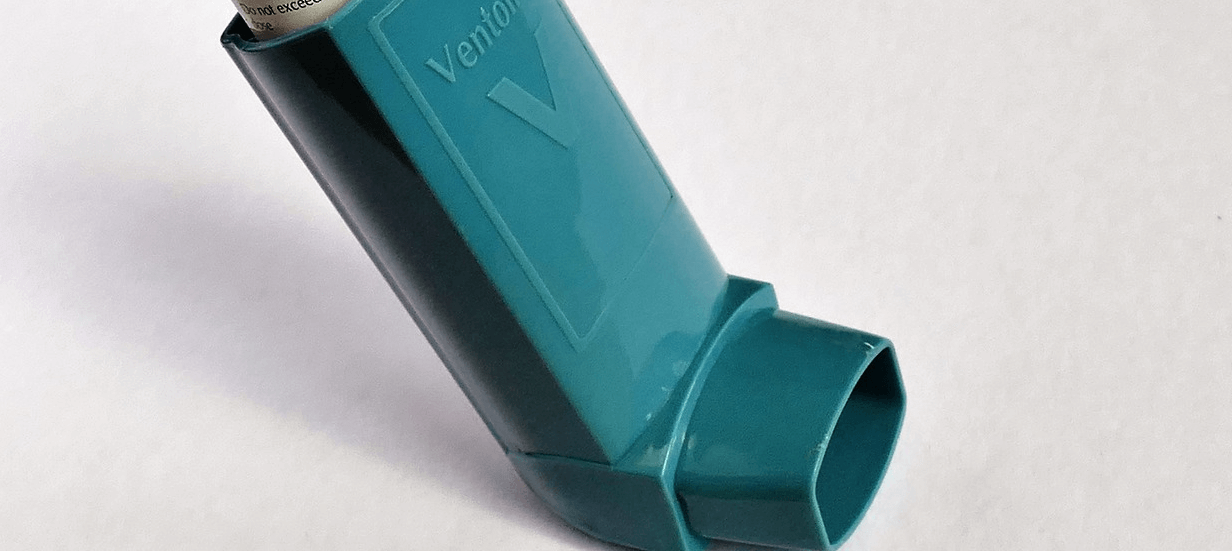 타우린 효능과 관련된 사진 - 6