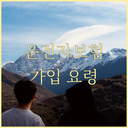 운전자보험: 사고 시 운전자를 지키는..