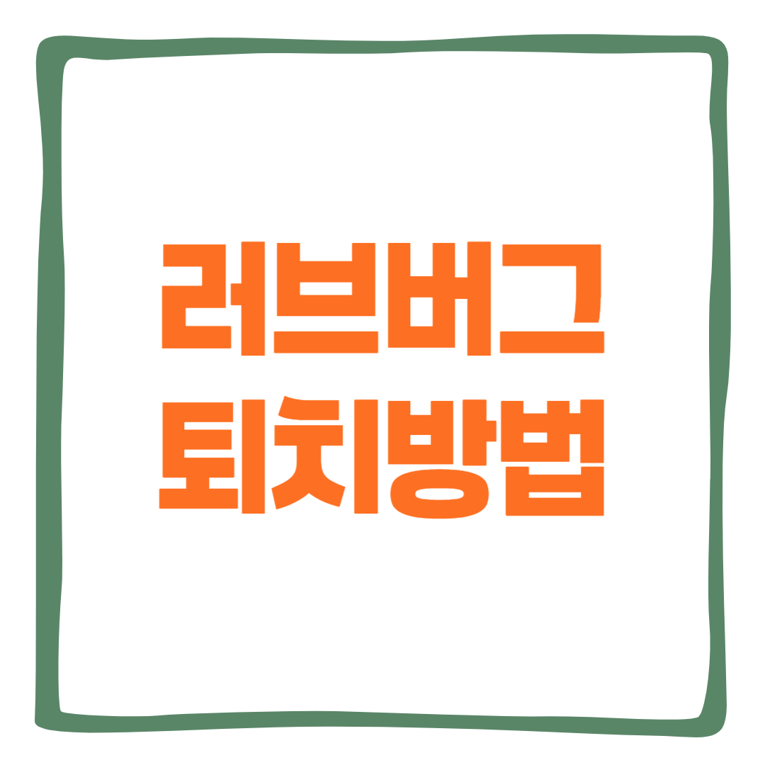 러브버그 퇴치방법 총정리 – 계피로 만드는 차량·실내 천연기피제