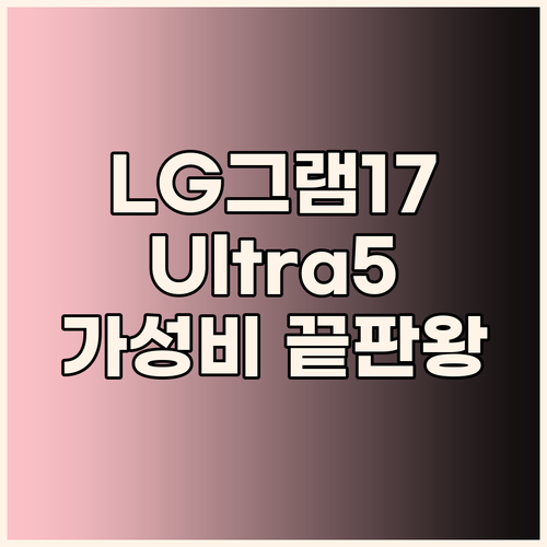 가성비 끝판왕! LG 그램 17, U..