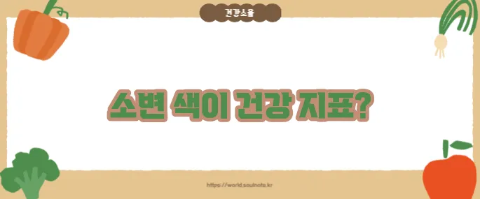 소변 색깔로 보는 건강 (+색상별 해석법)