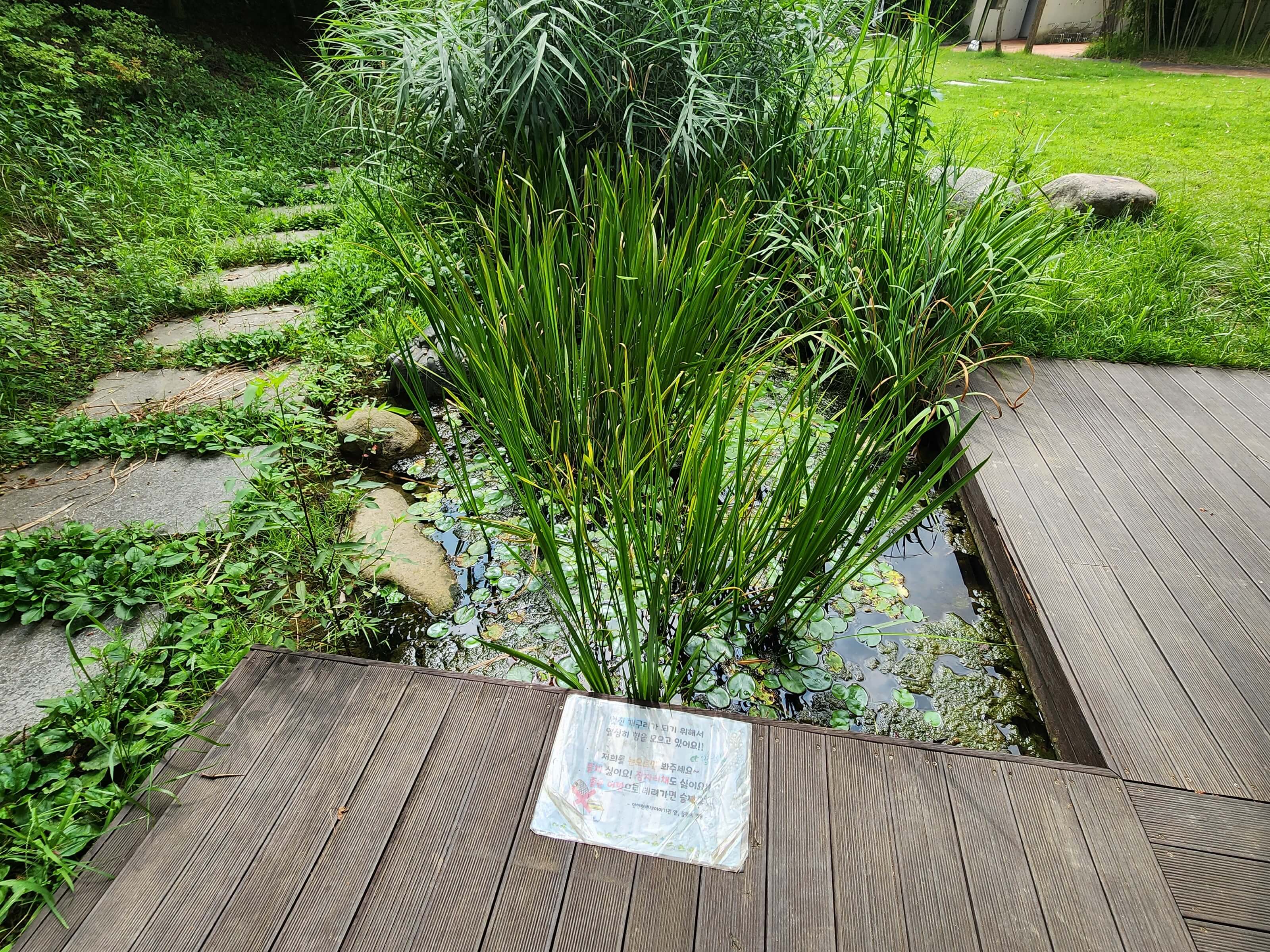 안양생태이야기관 개구리연못