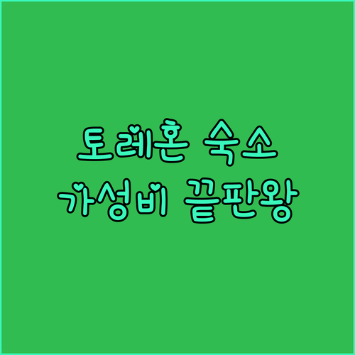 스페인 토레혼 데 아르도스 가성비 숙..
