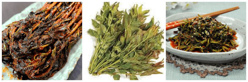 가죽나물 장아찌, 가죽나물, 가죽나물 무침 사진