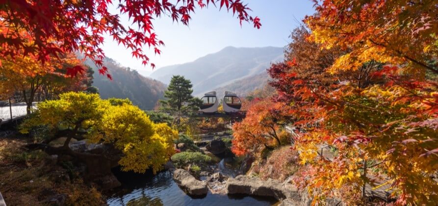 전국 가을축제 일정